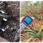 soil moisture sensor project