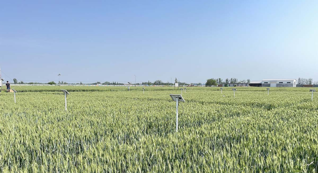 Soil Monitoring