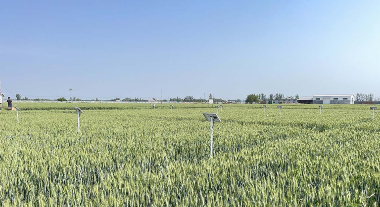 Soil Monitoring