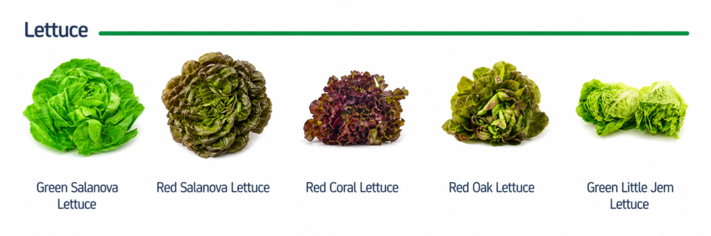 vegetables
