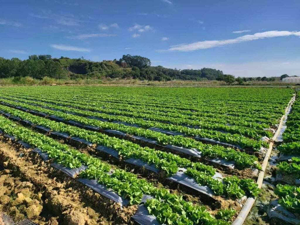 precision irrigation