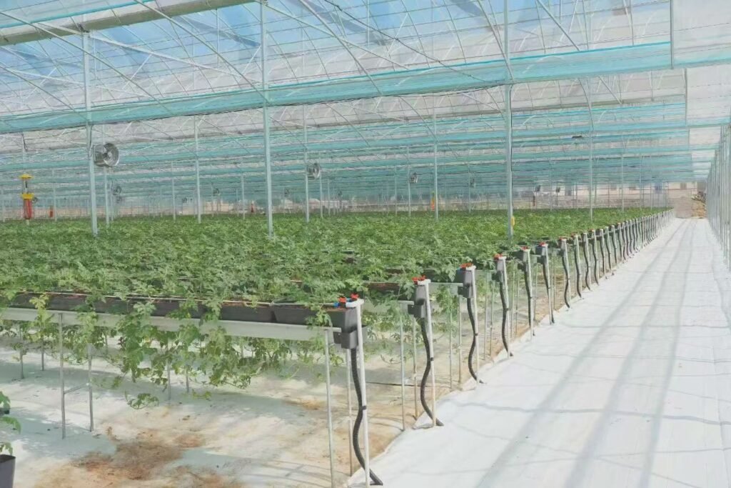 Smart Agriculture
