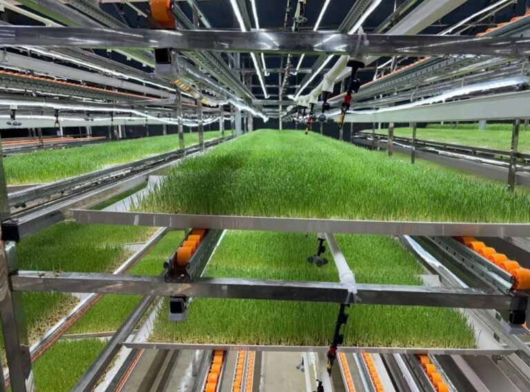 Smart Agriculture in the Middle East