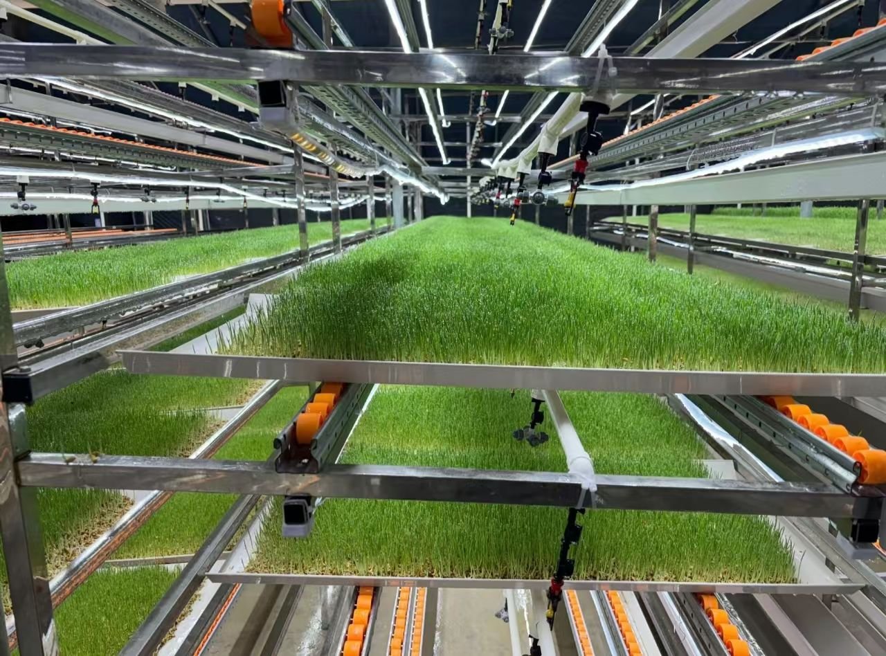 Smart Agriculture in the Middle East