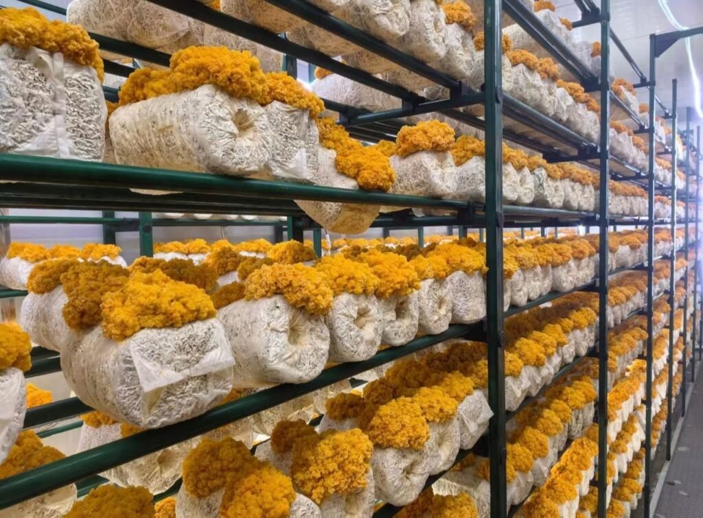Vertical Farming
