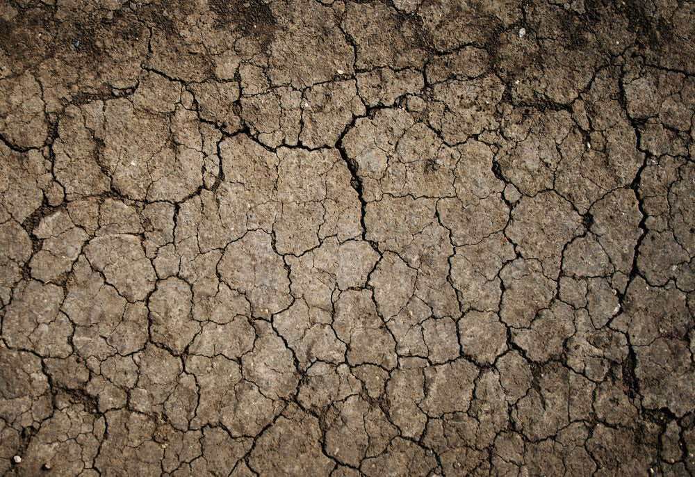 dry ground