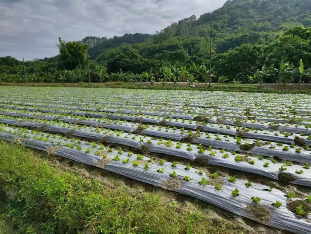 sustainable farming