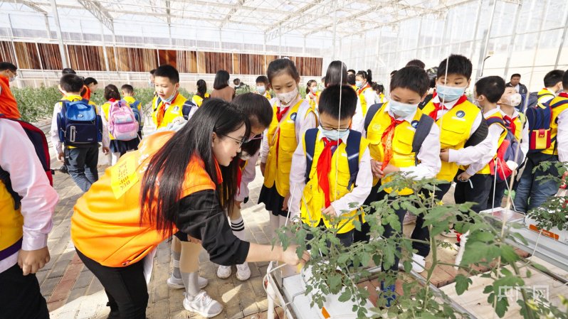 digital-agriculture-demonstration-greenhouse