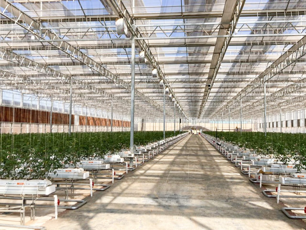 commercial-greenhouse-monitoring-application-web